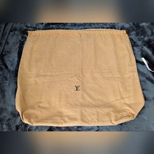 Louis Vuitton storage/dust bag‎